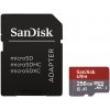Paměťová karta SanDisk microSDXC 256 GB UHS-I U1 173399