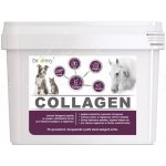 Dromy Collagen 2,5 kg – Zboží Dáma