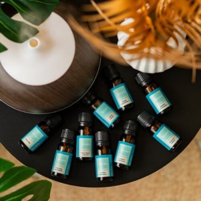 Venoc Esenciální olej Elemi 10 ml – Hledejceny.cz