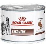 Royal Canin Veterinary Diet Cat & Dog Recovery 195 g – Zboží Mobilmania