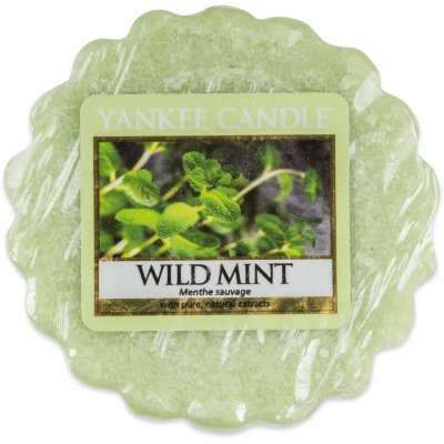 Yankee Candle vosk do aroma lampy Wild Mint 22 g – Zbozi.Blesk.cz