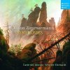 Hudba ZIMMERMANN, A. - SYMPHONIES CD