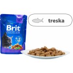 Brit Premium Cat Cod Fish 100 g – Zbozi.Blesk.cz