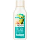Jason Conditioner vlasový Mořská řasa 454 g