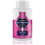 Altervet Cartilan MSM+kurkumin 130 g 100 tbl – HobbyKompas.cz