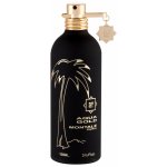 Montale Aqua Gold parfémovaná voda unisex 100 ml – Hledejceny.cz