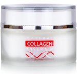 Inventia noční kolagenový krém (matrixyl, vitamin E, aloe) 50 ml – Hledejceny.cz