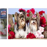 Norimpex Diamantové malování Pejsci v růžích 30 x 40 cm – Sleviste.cz