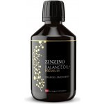 Zinzino BalanceOil + olej Premium 300 ml – Hledejceny.cz