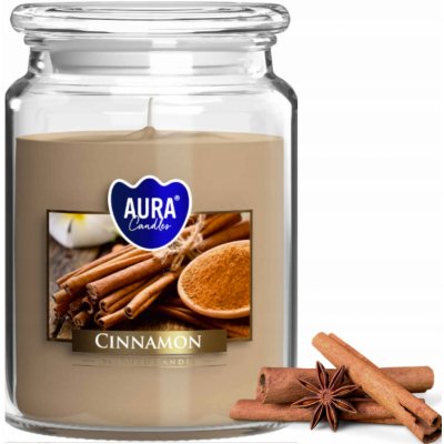 Bispol Aura Maxi Cinnamon 500 g – Zboží Dáma