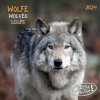Kalendář Wolves/Wölfe 2024
