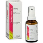 CANIFUG LÖSUNG DRM 10MG/ML DRM SPR SOL 1X30ML – Hledejceny.cz