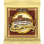 Ernie Ball 2069 – Zboží Dáma