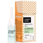 Nuggela & Sulé ampule na regeneraci vlasů 10 ml – Hledejceny.cz