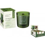 Bartek Candles Cedarwood 150 g – Hledejceny.cz