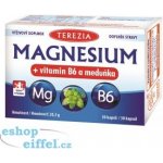 Terezia Magnesium + vitamin B6 a meduňka 30 kapslí – Hledejceny.cz