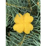 Včelařství Thomayer Vánoční vosková ozdoba čtyřlístek z pravého včelího vosku 5.7x5.7 cm 12g – Hledejceny.cz