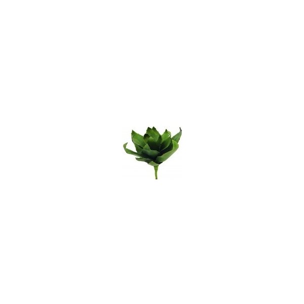 Květina Agáve zelená 45cm