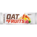 BioTech OAT and Fruits 70 g – Zboží Mobilmania