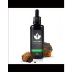 Pakurikääpäuute Puhdistamo Chaga Extract 50 ml – Hledejceny.cz