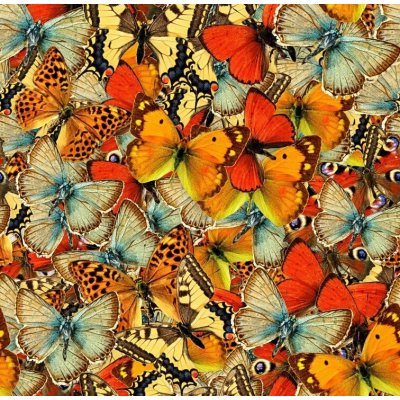 Grafika Hejno motýlů 1000 dílků – Zboží Mobilmania