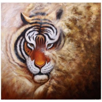 Obraz - olejomalba Pohled tygra
