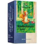 Sonnentor Nadechnutí v lese Bio 21,6 g – Hledejceny.cz