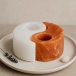 Cereus Solný svícen Jin-Jang – harmonizující přírodní dekorace – Zboží Dáma