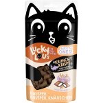 Lucky Lou Lucky Ones Krunchy Krisps Kuře a losos 60 g – Hledejceny.cz