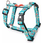 Max & Molly H Postroj Donuts – Sleviste.cz