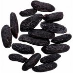 Nefertitis Tonka semena NF30676 20 g – Zboží Mobilmania