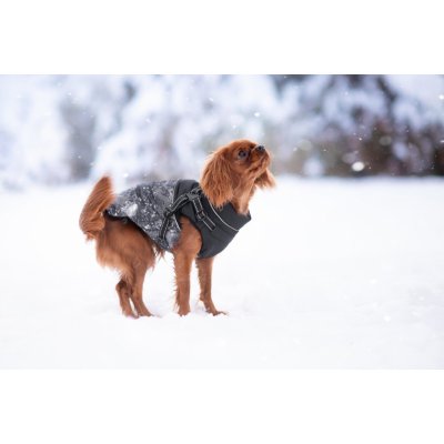 Vsepropejska Adon zimní bunda pro psa s postrojem