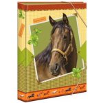 Karton P+P A4 Jumbo Kůň romantic 5-71021 – Zboží Dáma