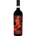 Le Guaite di Noemi Valpolicella Ripasso Superiore 2014 Červené 14,5% 0,75 l (holá láhev) – Hledejceny.cz