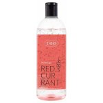 Ziaja Red currant Červený rybíz sprchový gel 500 ml – Zbozi.Blesk.cz