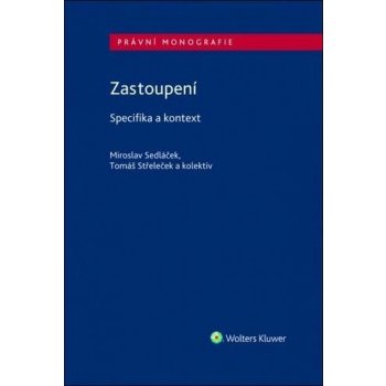 Zastoupení - Specifika a kontext