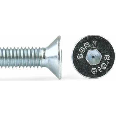 Šroub zap. hl. 90° imbus 10.9 ZB, DIN 7991 - M6X100 – Sleviste.cz