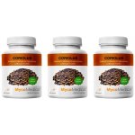 MycoMedica Coriolus Versicolor Outkovka pestrá 3 x 90 kapslí – Hledejceny.cz
