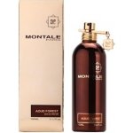 Montale Aoud Forest parfémovaná voda unisex 100 ml – Hledejceny.cz