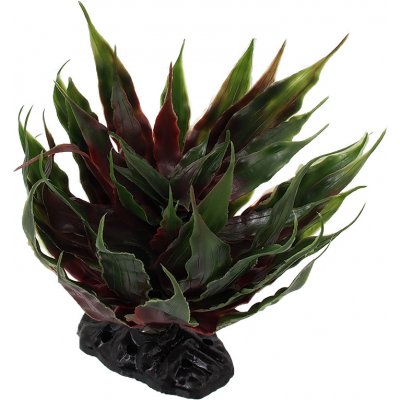 Repti planet Rostlina sukulent Agave zelená 18 cm – Zbozi.Blesk.cz