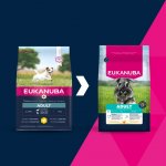 Eukanuba Adult Small Breed 3 kg – Hledejceny.cz