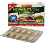 Terezia Company Hlíva ústřičná + laktobacily + vitamin C 60 kapslí – Hledejceny.cz