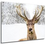 Obraz 1D - 100 x 70 cm - Deer with beautiful big horns on a winter country road Jelen s krásnými velkými rohy na zimní venkovské cestě – Sleviste.cz