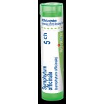 SYMPHYTUM OFFICINALE POR 5CH GRA 4G – Hledejceny.cz