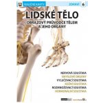 Lidské tělo 2 - Naučné karty rozkládací tabulka A5 Computer media – – Hledejceny.cz