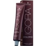 Schwarzkopf Igora Color 10 6-65 tmavá blond čokoládová zlatá 60 ml – Hledejceny.cz
