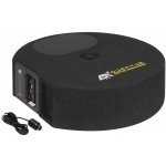 ESX Audio Quantum Q-300A