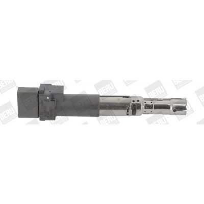 Zapalovací cívka BorgWarner (BERU) ZSE063 – Hledejceny.cz