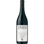 Elio Grasso Barbera d'Alba Vigna Martina 2020 15% 0,75 l (holá láhev) – Hledejceny.cz