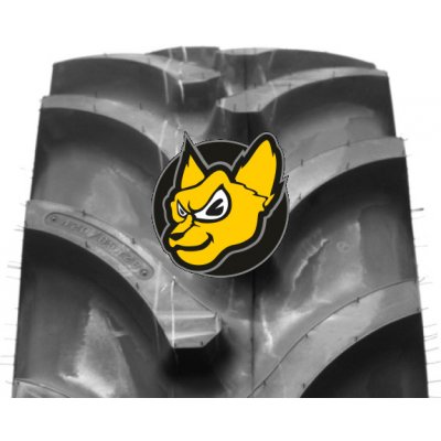 Firestone Performer 270/95-54 160A2 TL – Sleviste.cz